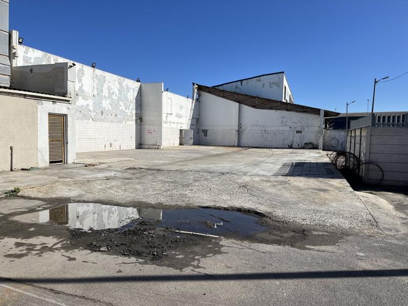 To Let commercial Property for Rent in Paarden Eiland Western Cape